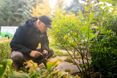 Gardener in black jacket kneeling and inspecting plants in a lush garden on a sunny day.
