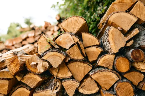 a pile of cut wood