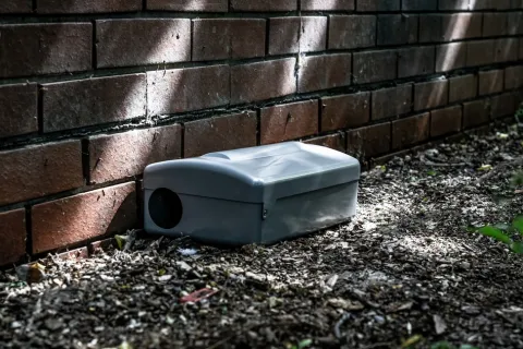 Gray rodent bait station placed on mulch next to a brick wall in shaded outdoor area