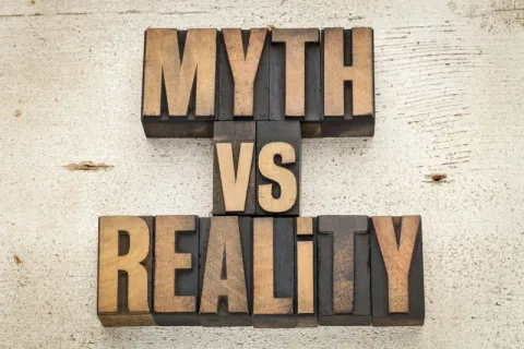 text of myth vs reality