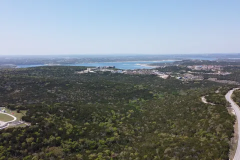 a landscape with trees and a body of water in the background