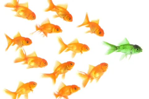 Why Values Are at the Core of Great Leadership