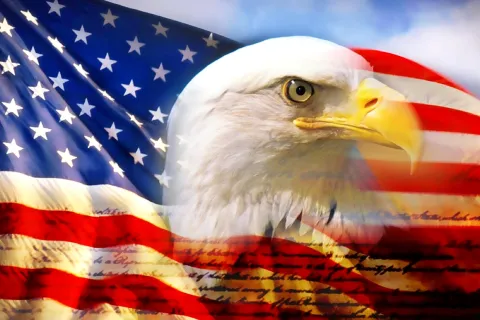 a bald eagle in front of a flag