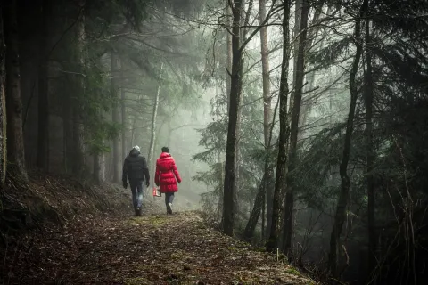 Workplace Wellness: Preventing Substance Abuse