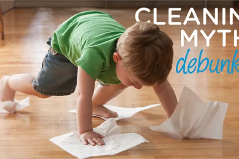 Cleaning Myths Debunked: Cleaning Tools