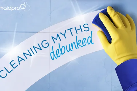 Cleaning Myths Debunked: Mold & Mildew