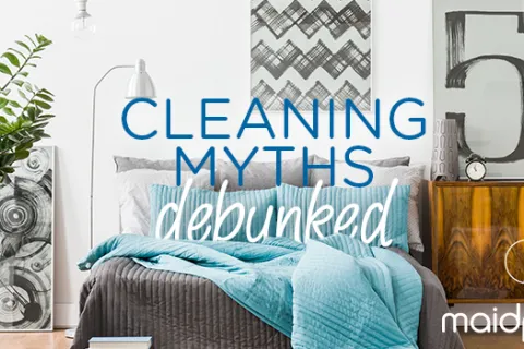 Cleaning Myths Debunked: The Mattress