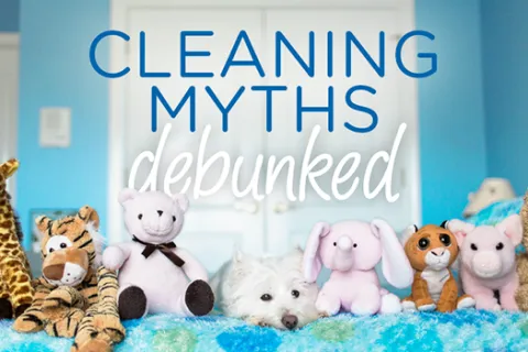 Cleaning Myths Debunked: Lice in the Home