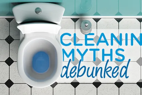 Cleaning Myths Debunked: Toilets!