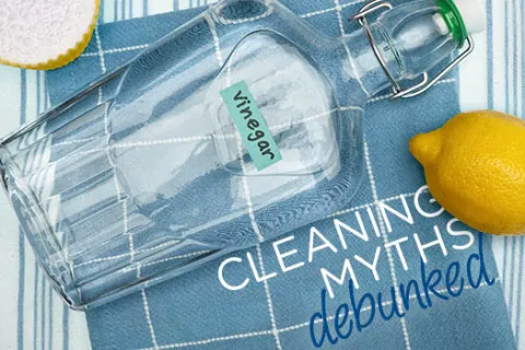 Cleaning Myths Debunked: Vinegar