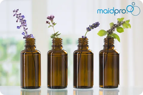 Smell Great and Keep the Bugs Away All Summer Long