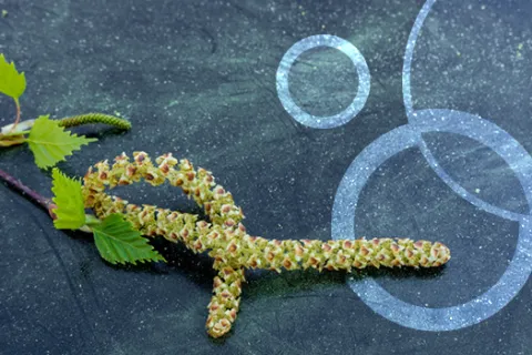 8 Tips for Surviving the Worst of the Spring Pollen Season