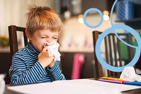 How to Keep Your Home Healthy (Even When You’re Not)