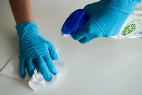 ultimate guide, spring cleaning checklist - CTA to hire a pro