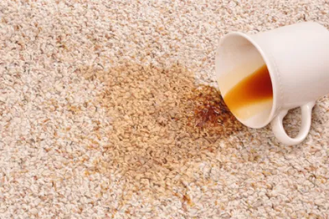 Stain Removal