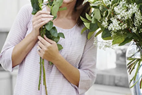 Six Strategies for an Allergen-Free Home