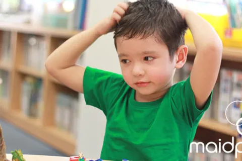 Lice Myths Debunked: Personal Prevention