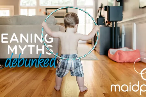 Cleaning Myths Debunked: Wood Floors