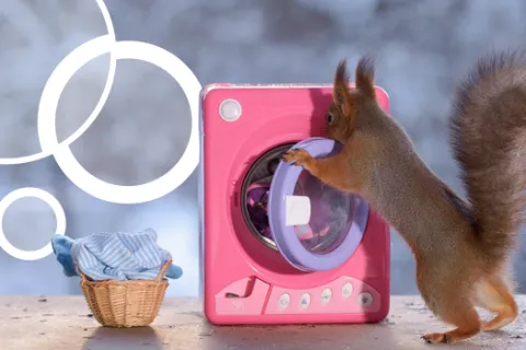 Neat Know-How: Washer & Dryer