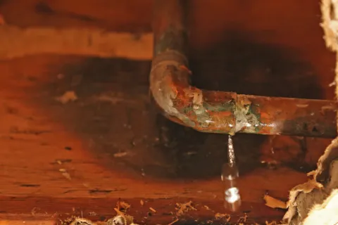 Getting the Right Advice and a Plan in Place