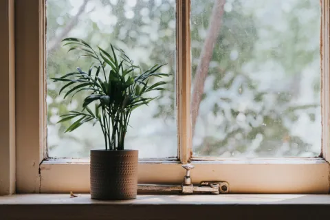 Don’t Let Your Green Thumb Lead to Moldy Fingers