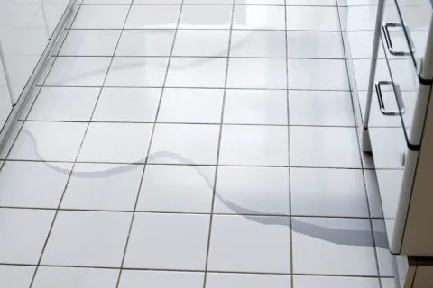 Don’t Let Leaky Appliances Sink Your Home