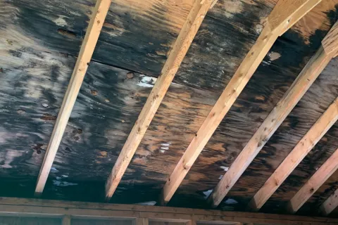 Keep an Eye Out for Humidity Levels!