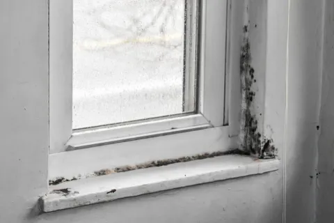 5 Places a Mold Infestation can Form in Your Home