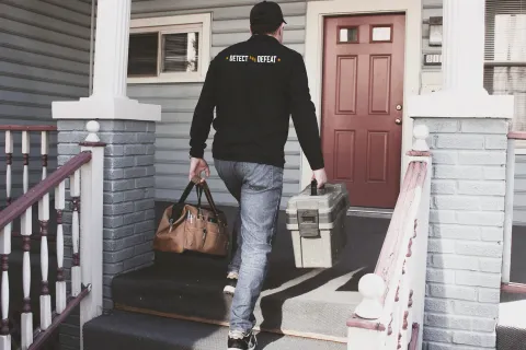 Debunking Mold Myths: Do Bleach and Peroxide Kill Mold?