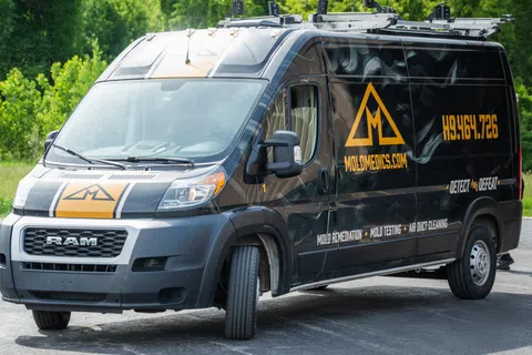 Black RAM van with Mold Medics branding parked on asphalt near green trees, featuring mold remediation services and contact info.