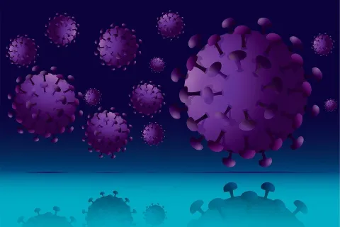 Cleaning and Disinfection of Surfaces and Items Within The Home