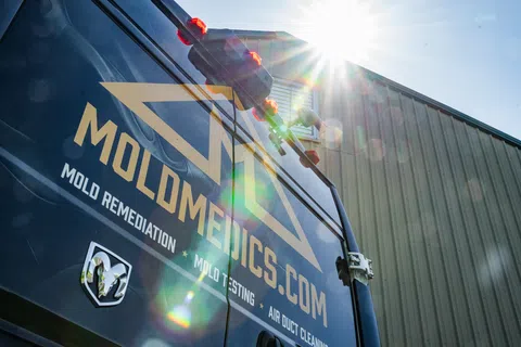 Sunlit black van with MOLMEDICS.COM logo parked outside industrial building under clear blue sky