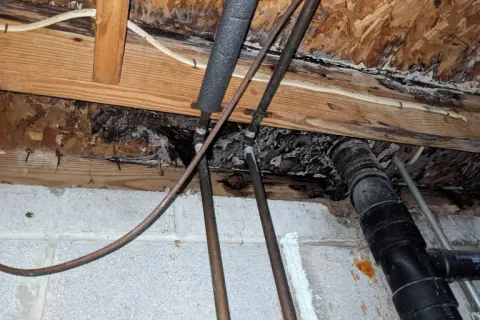 Water damaged wooden ceiling joists and copper pipes in a basement with concrete block walls and black drainage pipe.