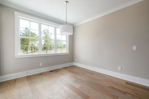 Signs Mold is Under Your Floor