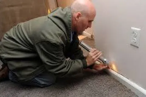 Top 10 Tips to Avoid Mold Growth after Remediation