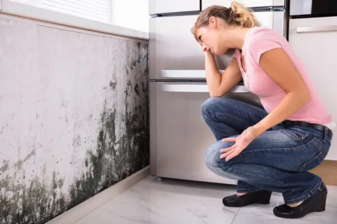 Summer Mold Prevention Tips