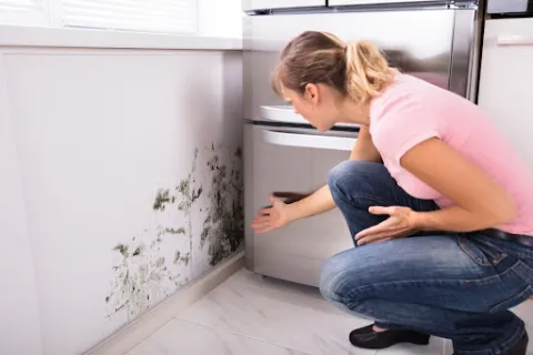 Best Ways to Get Rid of Mold
