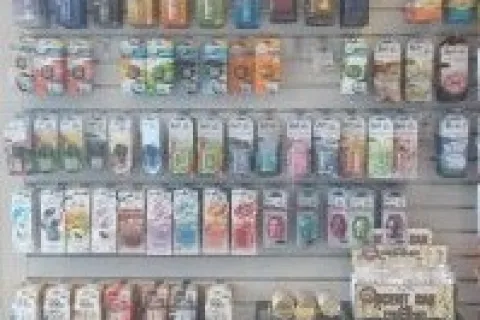 An Air Freshener Just Covers Smells. Achieve An Odor-Free Vehicle And Eliminate It For Good