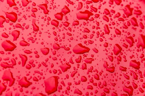 How a Full Service Car Wash Can Protect Your Car's Paint