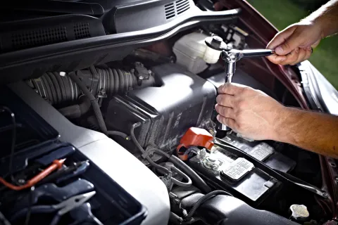 Throttle Plates and 30k Service