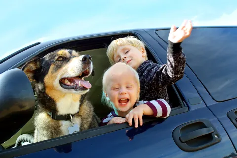 Summer Car Maintenance: Creating A Specific Program Tailored To Your Car's Travel Needs