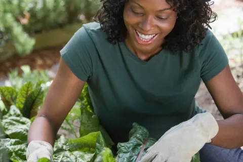 Orthopedic Wellness Tips for Safe and Enjoyable Gardening