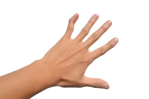 a hand with a white background