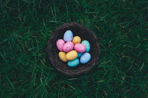 a basket of colorful eggs