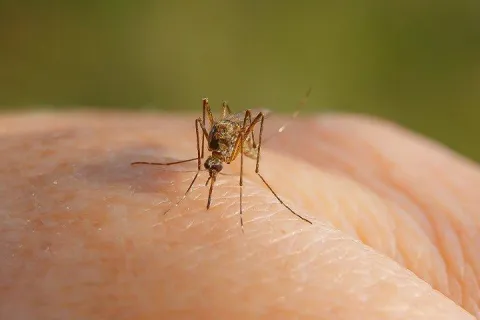 a spider on a person's finger