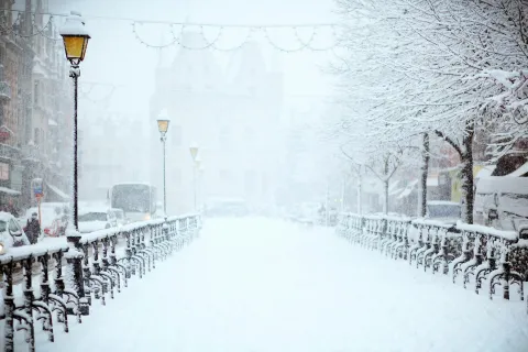 a snowy street with trees and buildings