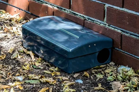 rodent station outside building
