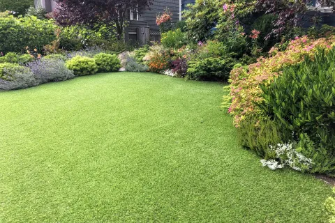 a lawn with bushes and trees