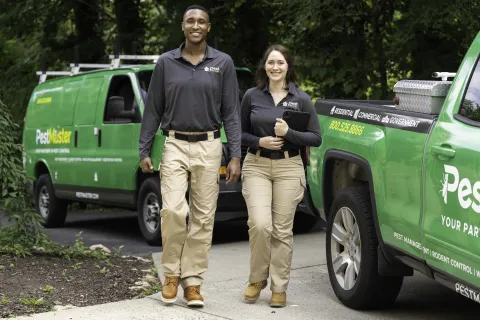 a man and a woman standing next to a green truck