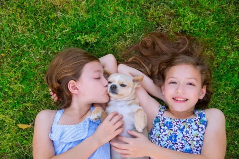 a person and a girl holding a dog in a grassy area